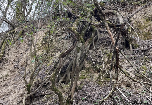 20220325073959-00d76b0c